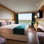 Gallery Thumbnail 17